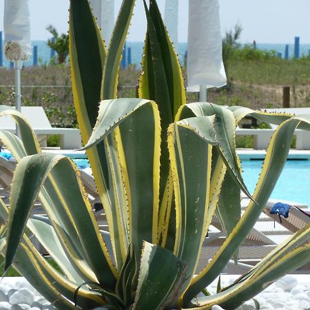 Hotel Mediterraneo Suite&Residence Lido di Jesolo Luaran gambar